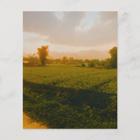 Vang Vieng - Laos  チラシ (裏面)