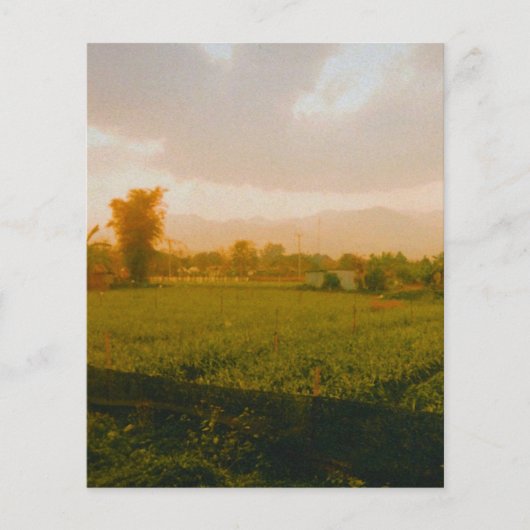 Vang Vieng - Laos  チラシ (正面)