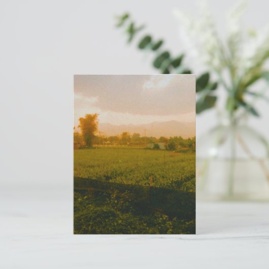 Vang Vieng - Laos  ポストカード (スタンド正面)