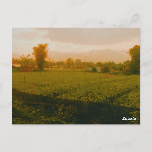 Vang Vieng - Laos  ポストカード (裏面)