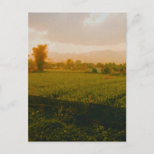 Vang Vieng - Laos  ポストカード (正面)