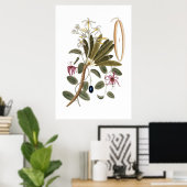 Vanilla botanical poster ポスター (ホームオフィス)