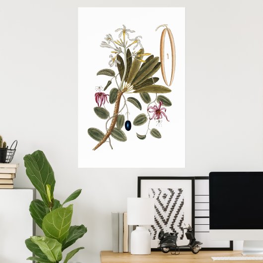 Vanilla botanical poster ポスター (ホームオフィス)