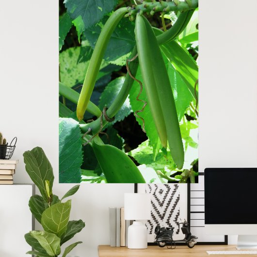 Vanilla Orchid Beans ポスター (ホームオフィス)