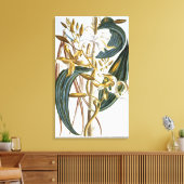 Vanilla pods、プレート65、「コレクションの貴重さ」から キャンバスプリント (インサイチュ (リビング))