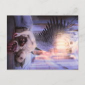 Vanishing ポストカード (正面)