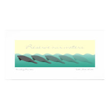 Vanishing Manatees – 水を36 x 18に保つ