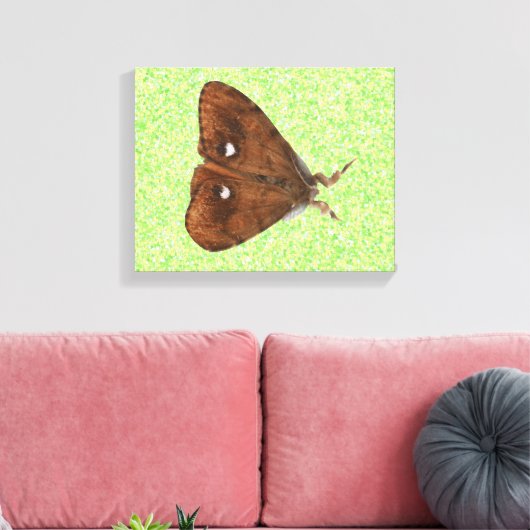 Vapourer Moth Canvas Print キャンバスプリント (インサイチュ (リビング))