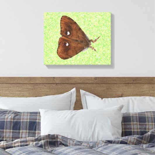 Vapourer Moth Canvas Print キャンバスプリント (インサイチュ (寝室))
