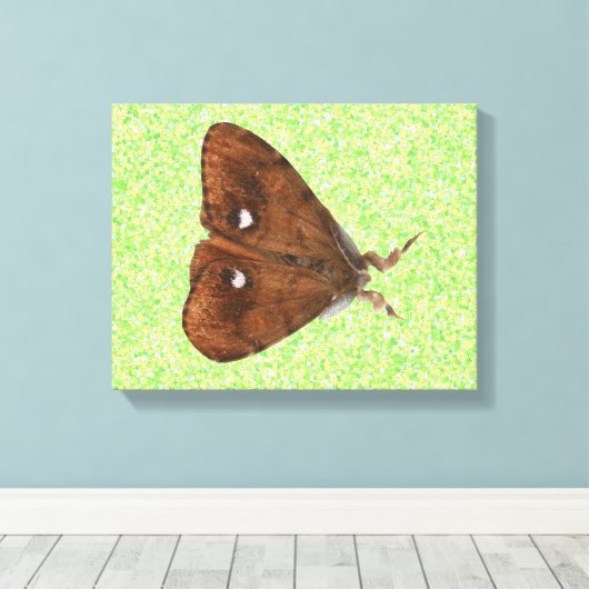 Vapourer Moth Canvas Print キャンバスプリント (インサイチュ (ウッドフロア))