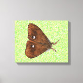 Vapourer Moth Canvas Print キャンバスプリント (正面)