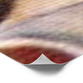 Vargas 1Bポスター ポスター (角)