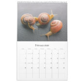 Varia 01 - 2011カレンダー カレンダー (2月 2026)