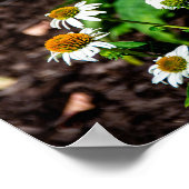 Variegated Fritillary Butterfly ポスター (角)