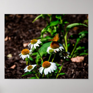 Variegated Fritillary Butterfly ポスター