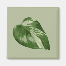 Variegated Monstera Albo Magnet マグネット