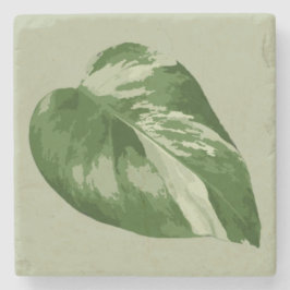 Variegated Monstera Leaf Coaster – Real Plant Art ストーンコースター