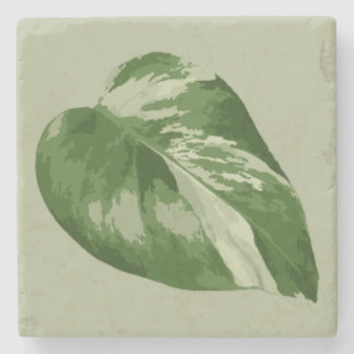 Variegated Monstera Leaf Coaster – Real Plant Art ストーンコースター