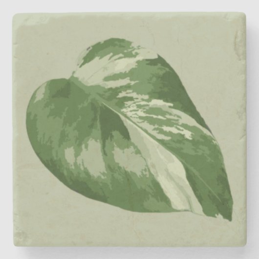 Variegated Monstera Leaf Coaster – Real Plant Art ストーンコースター (正面)