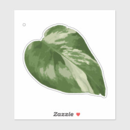 Variegated Monstera Sticker – Clear Cut Leaf シール