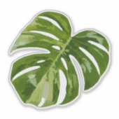 Variegated Monstera Sticker – Clear Cut Leaf シール (正面)