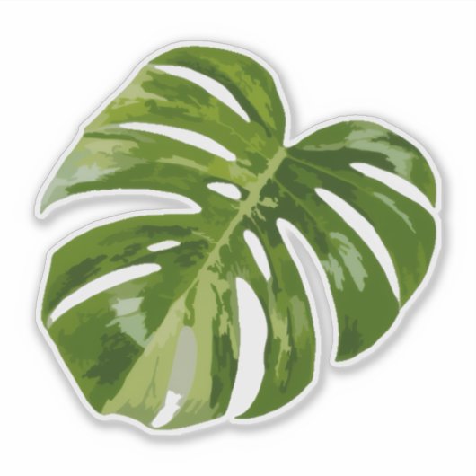 Variegated Monstera Sticker – Clear Cut Leaf シール (正面)
