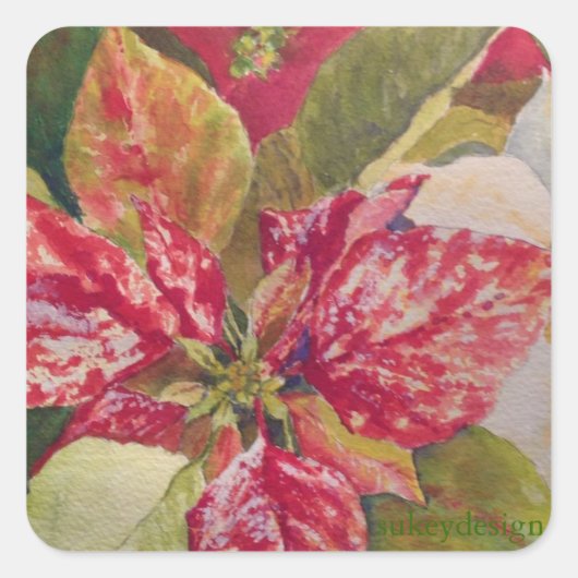 Variegated Poinsettia Sticker スクエアシール (正面)