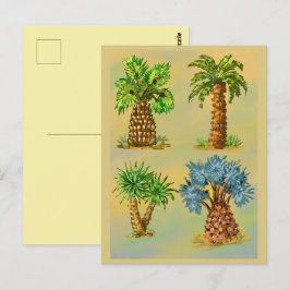 Variétés de palmiers en couleurs. ポストカード