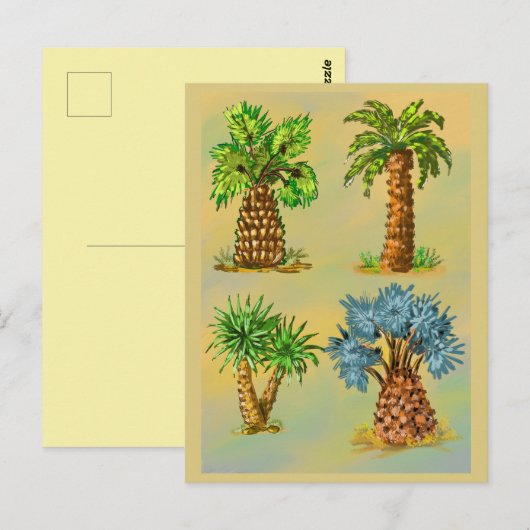 Variétés de palmiers en couleurs. ポストカード (正面/裏面)