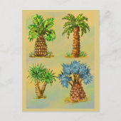 Variétés de palmiers en couleurs. ポストカード (正面)