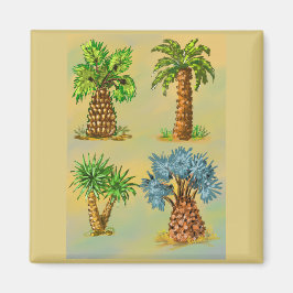 Variétés de palmiers en couleurs. マグネット