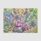 Variety Of Succulents  薄葉紙 (正面)