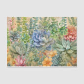 Variety Of Succulents 薄葉紙 (正面)