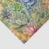 Variety Of Succulents 薄葉紙 (詳細)