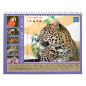 Various animals of South America Calendar カレンダー (カバー)