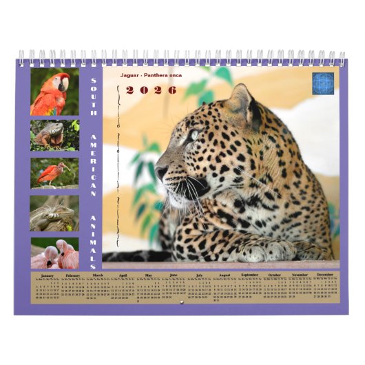 Various animals of South America Calendar カレンダー (カバー)