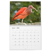 Various animals of South America Calendar カレンダー (3月 2026)
