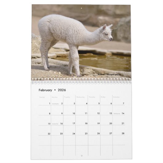 Various animals of South America Calendar カレンダー (2月 2026)