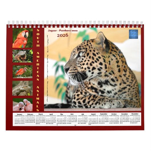 Various animals of South America Calendar カレンダー (カバー)