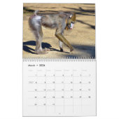 Various monkeys calendar カレンダー (3月 2026)