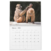 Various monkeys calendar カレンダー (2月 2026)