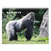 Various monkeys calendar カレンダー (カバー)