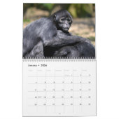 Various monkeys calendar カレンダー (1月 2026)