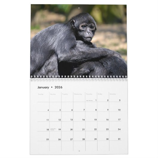 Various monkeys calendar カレンダー (1月 2026)