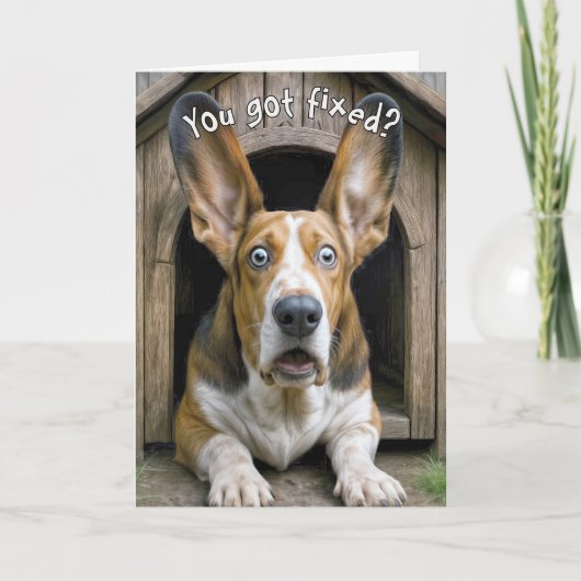 Vasectomy Basset Hound Dog Surprise カード (正面)