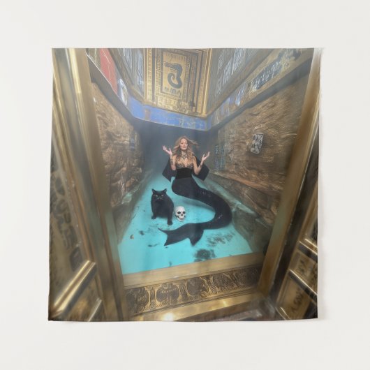 Vault タペストリー (正面)