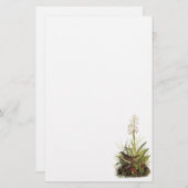 Veery、ジョンAudubon 便箋 (正面/裏面)