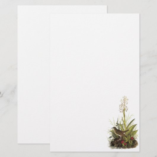 Veery、ジョンAudubon 便箋 (正面/裏面)