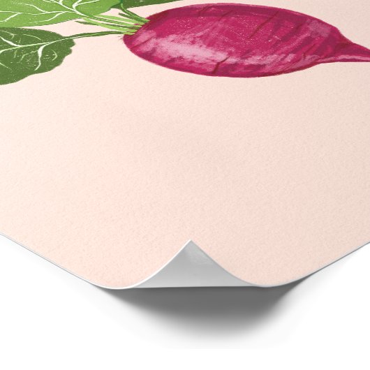 Vegetable wall art - Raddish illustration ポスター (角)