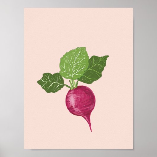Vegetable wall art - Raddish illustration ポスター (正面)